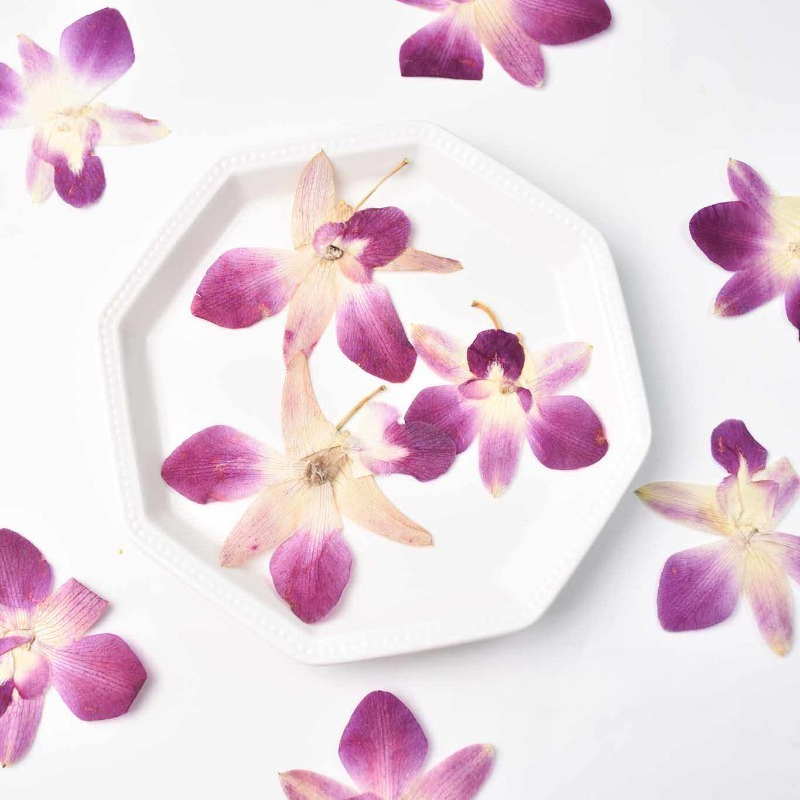 4 peças, Flores de Orquídea Bo - Resin Art Photo Frame avaliação e preço
